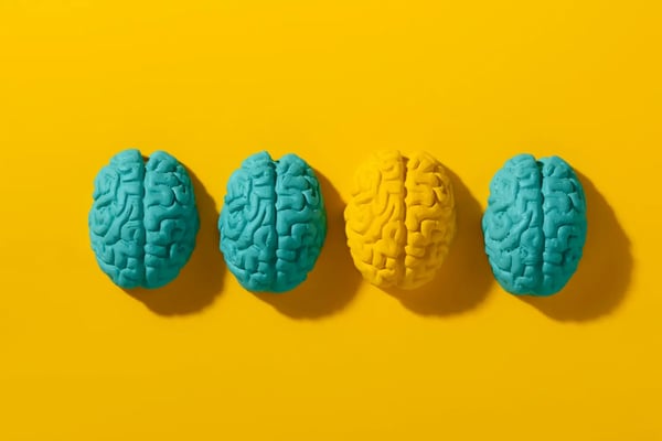4 teal and yellow colored brains in a row. Yellow background.