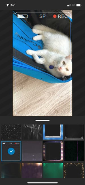 Screenshot of WeVideo iOS app with effects options shown