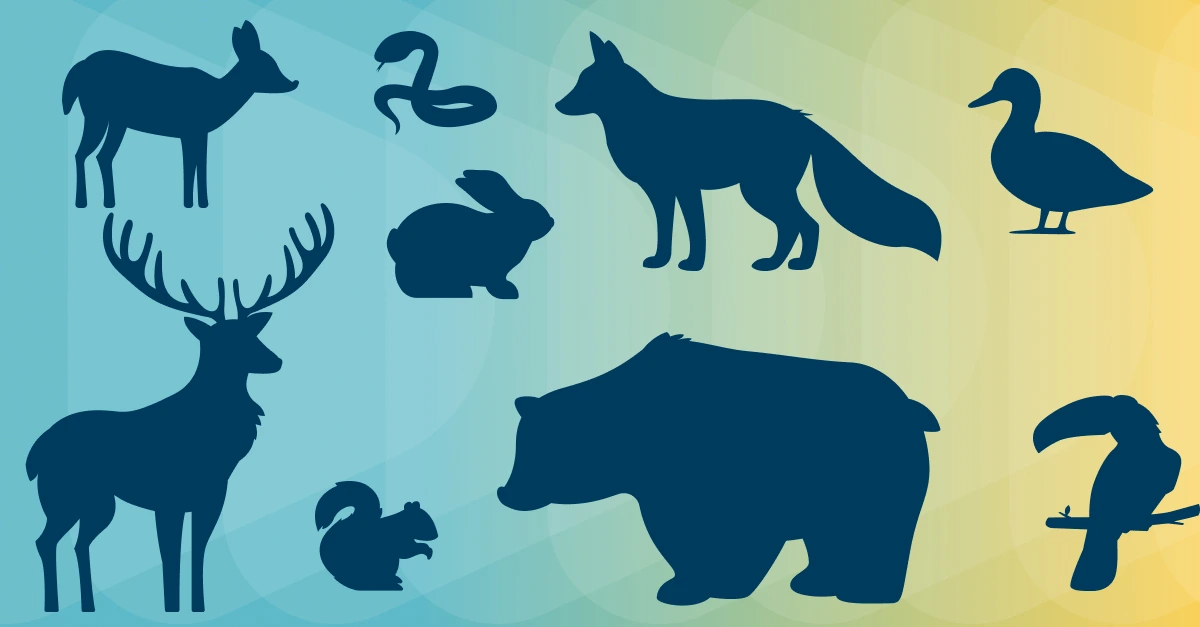 Amazing Animal Reports