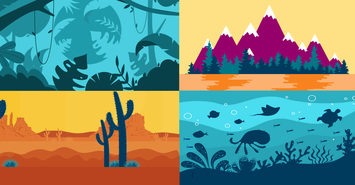 My Favorite Biome