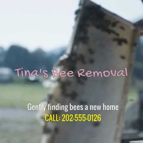 Bee removal service