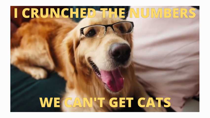 Crunch the numbers