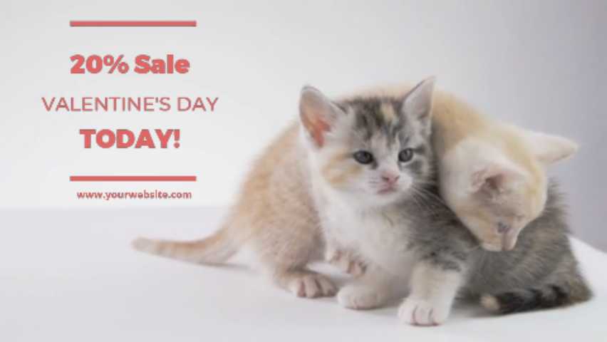 Valentine's Day kittens