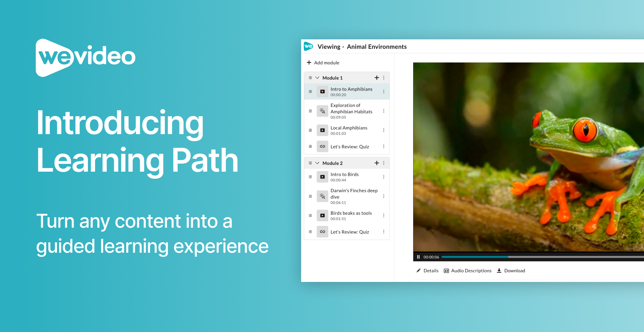 Learning Path — Whats New (1)