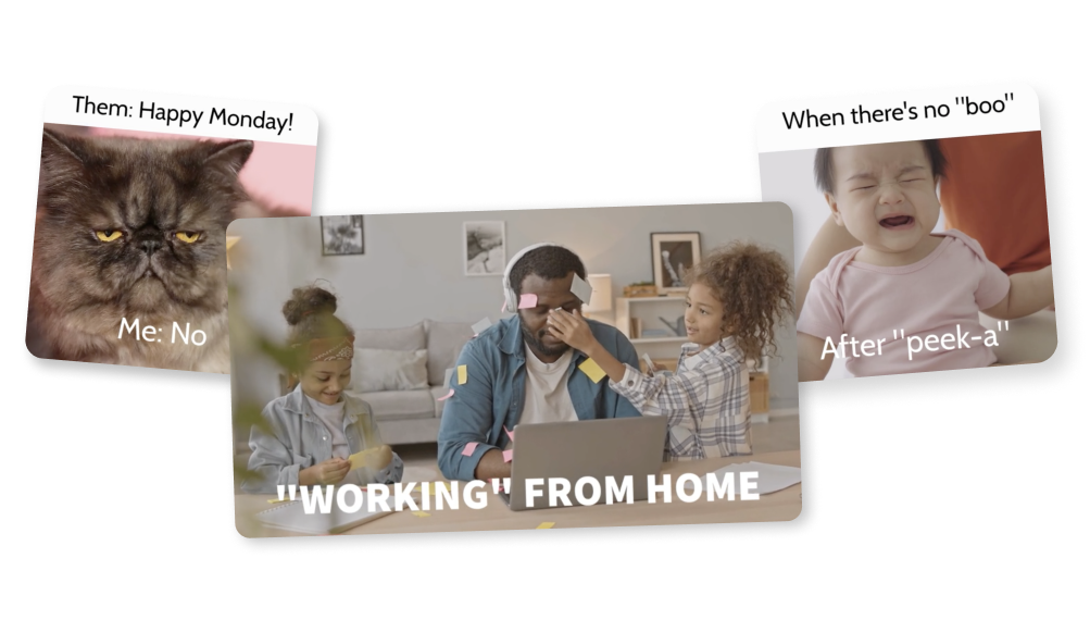 Mockup of three video memes with a cat, a family, and a baby