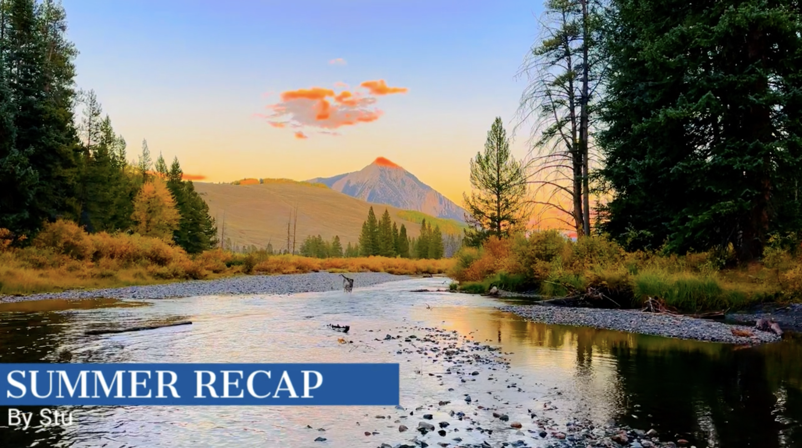 Forest in colorado. Text overlay says SUMMER RECAP By Stu.