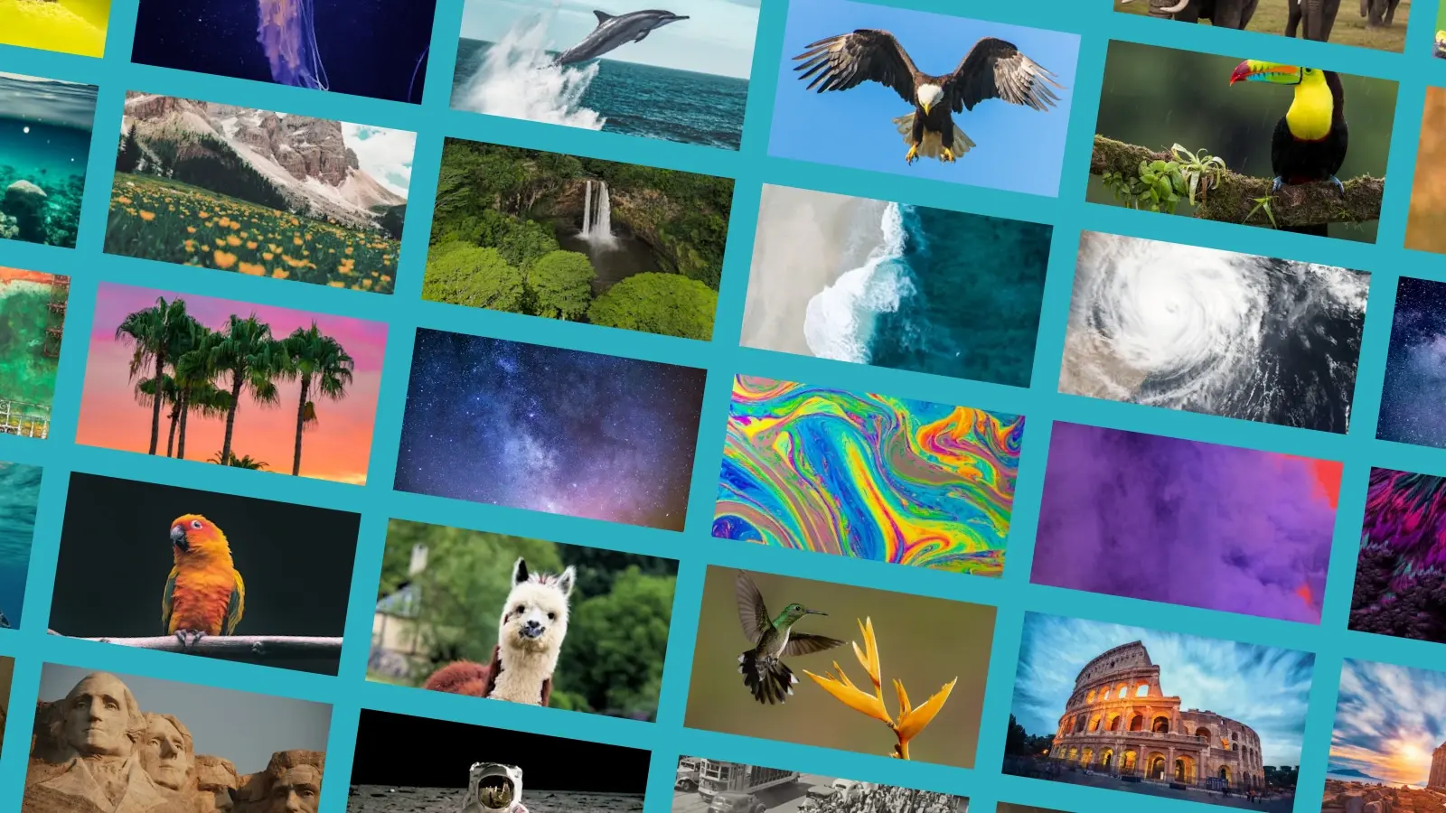 Stock media in a grid.