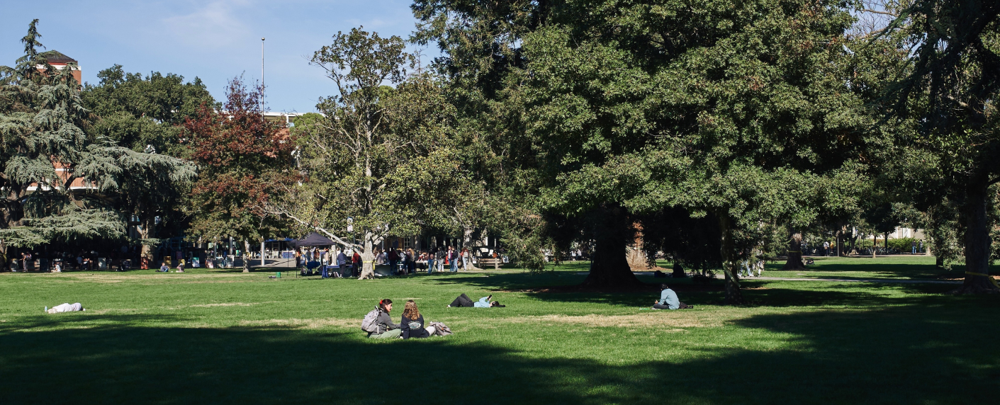 UC Davis campus.