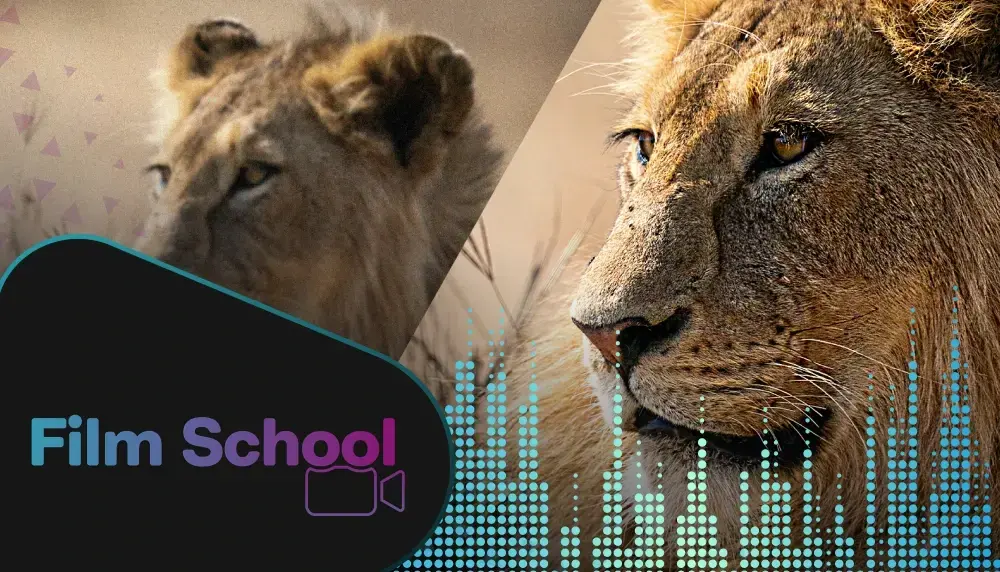 Two different close-up versions of a lion with blue audio levels below them and the WeVideo 